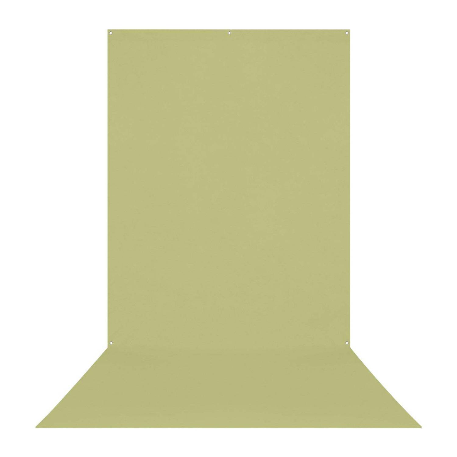 Westcott X-Drop Wrinkle-Resistant Backdrop, For Video Conferencing (Light Moss Green, 5 x 12 Feet)