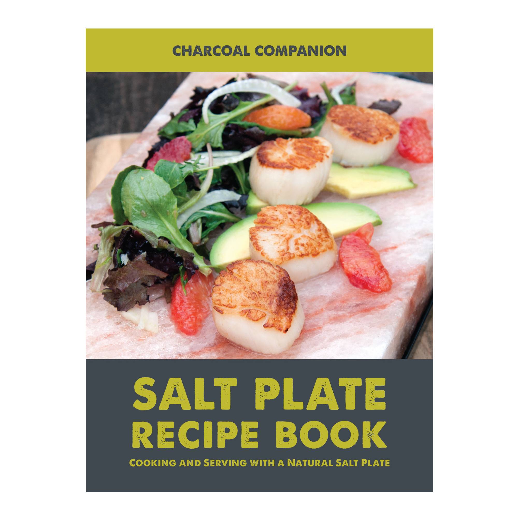 Charcoal Companion Salt Plate Recipe Book