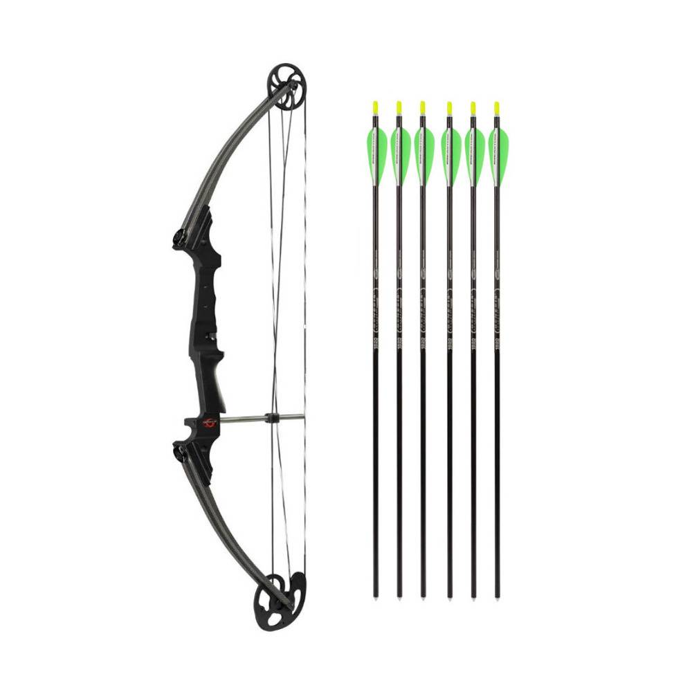 Genesis Archery Original Compound Bow (Right Hand, Black) and 30-Inch NASP Arrows for Genesis Bows