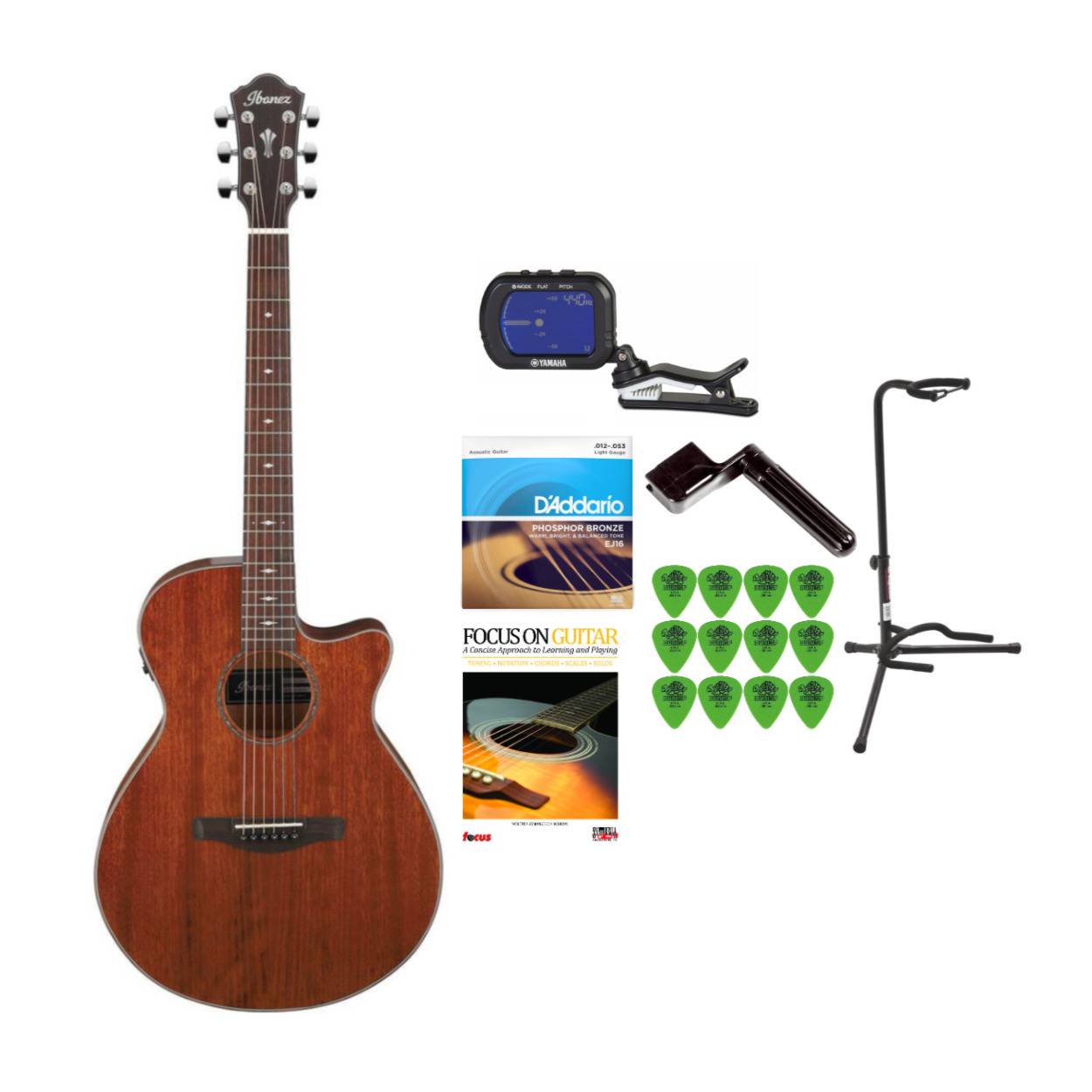 Ibanez AEG220 6-String Acoustic-Electric Guitar (Right-Hand, Natural Low Gloss) Bundle