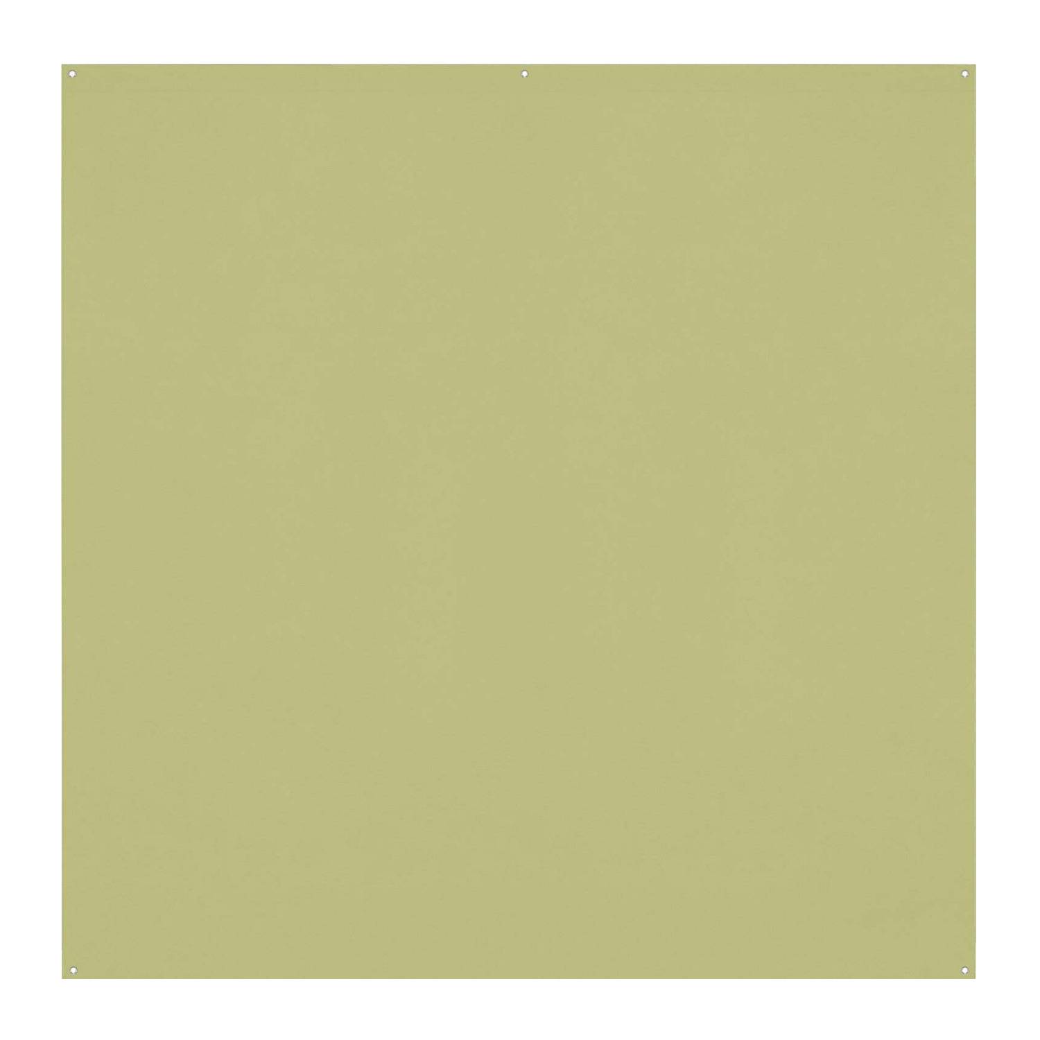 Westcott X-Drop Pro Wrinkle-Resistant Backdrop (Light Moss Green, 8 x 8 Feet)