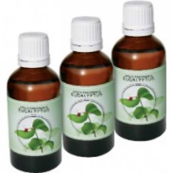 Venta Airwasher 3-Pack Eucalyptus Fragrance for Venta Airwashers