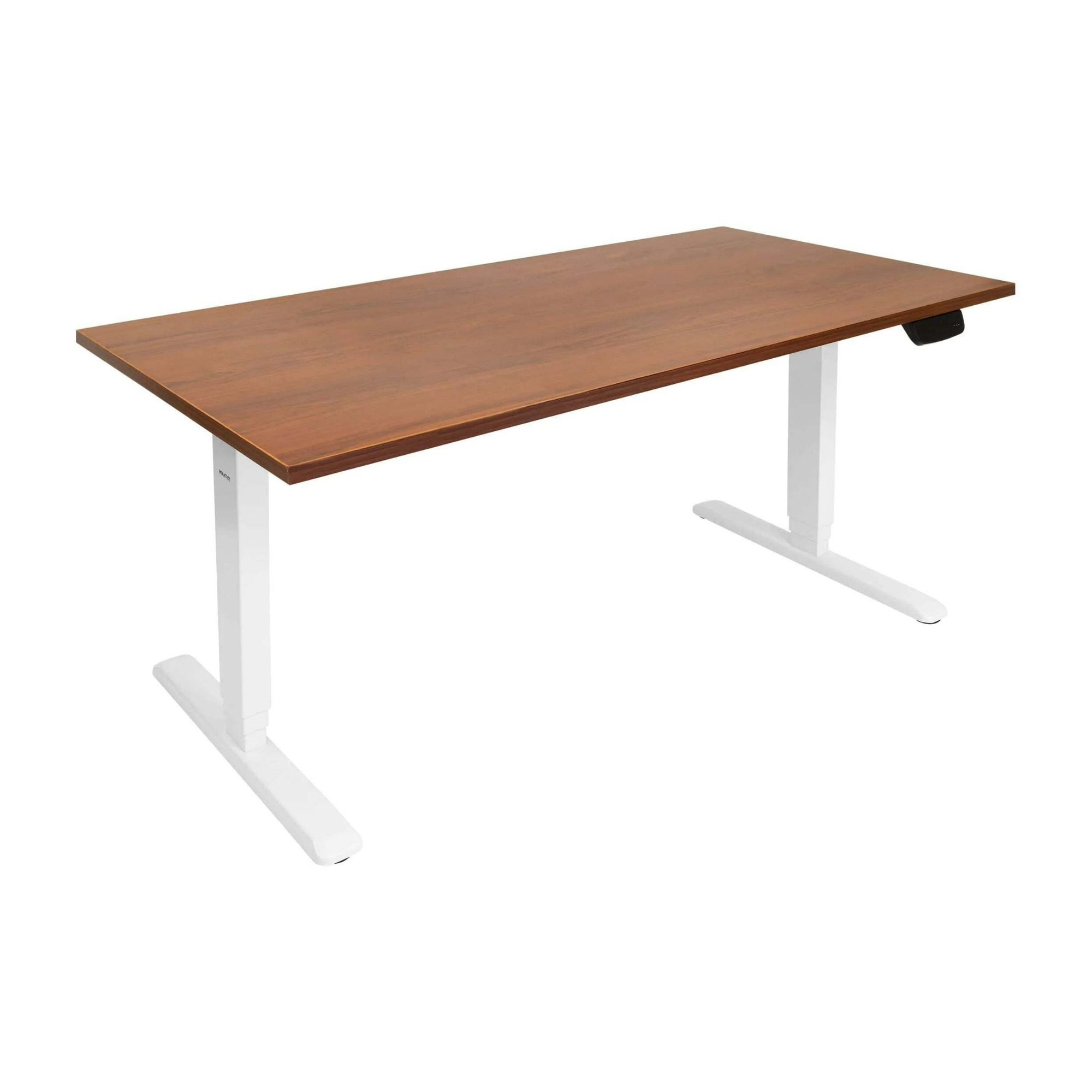 Mount-It! Mount-It Dual Motor Electric Sit-Stand Desk with Extra-Wide Tabletop (Brown with White Frames) -  MI-18068
